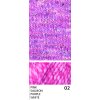 product2 02 copy 13.08.2026 11 30 58